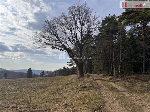 Prodej lesu, 11 340 m² 10