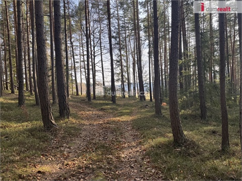 Prodej lesu, 11 340 m² - 6