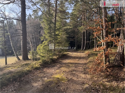 Prodej lesu, 11 340 m² - 0