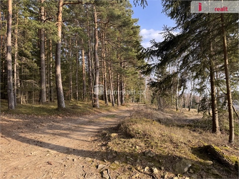 Prodej lesu, 11 340 m² - 8