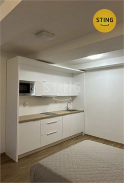 Pronájem bytu 1kk, 30 m² 0