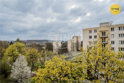 Prodej bytu 3+1, 63 m² 14