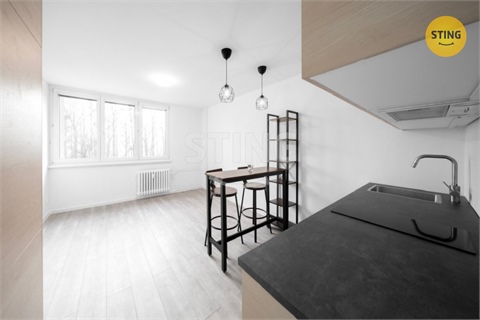 Pronájem bytu, 24 m² 2