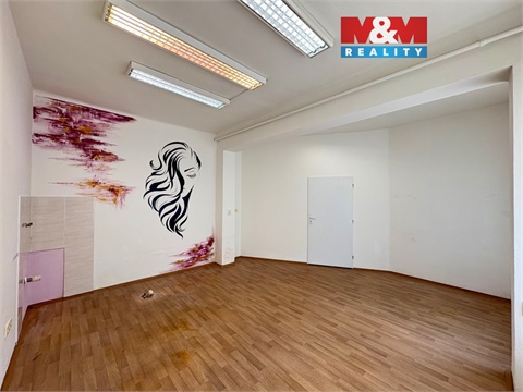 Pronájem obchodních prostor, 23 m² 0