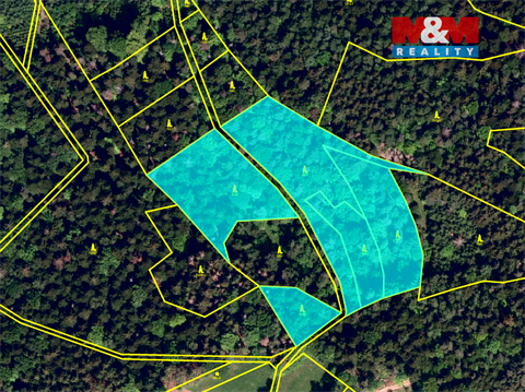 Prodej lesu, 26 118 m² 4