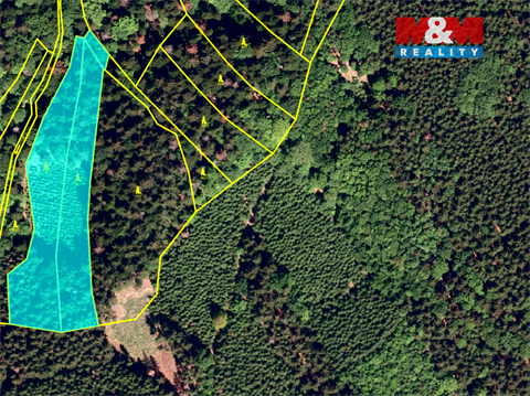 Prodej lesu, 26 118 m² - 0