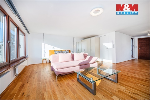 Prodej rodinného domu, 312 m² - 16