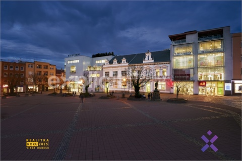 Pronájem obchodních prostor, 55 m² - 12