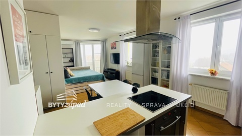 Pronájem bytu 2kk, 54 m² 4