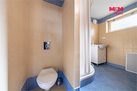 Prodej rodinného domu, 300 m² - 6