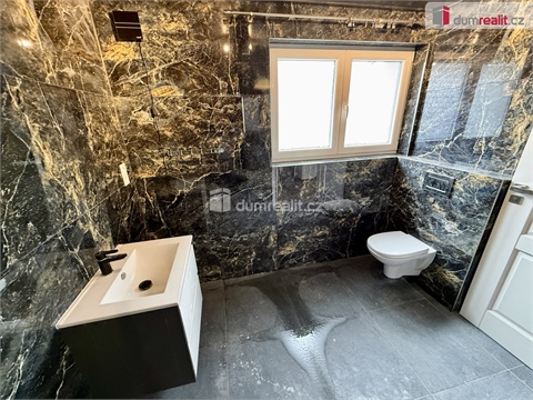 Pronájem rodinného domu, 99 m² 22