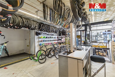 Prodej rodinného domu, 300 m² - 0