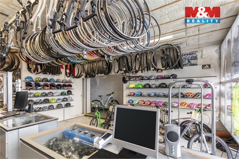 Prodej rodinného domu, 300 m² - 10