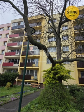 Pronájem bytu 1+1, 38 m² 2