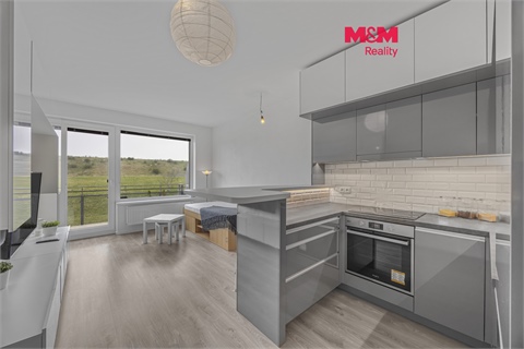 Prodej bytu 1kk, 33 m² 4