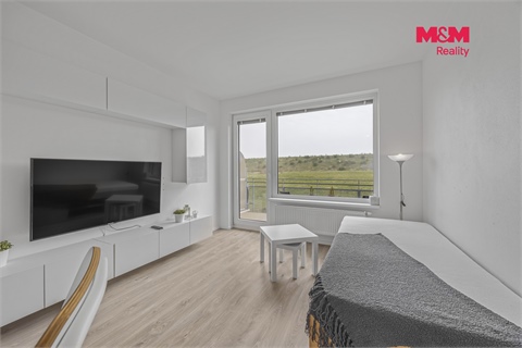 Prodej bytu 1kk, 33 m² 2
