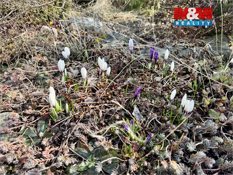 Prodej rodinného domu, 273 m² 18