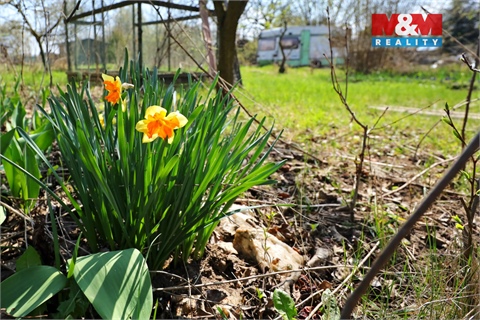 Prodej zahrady, 270 m² 2