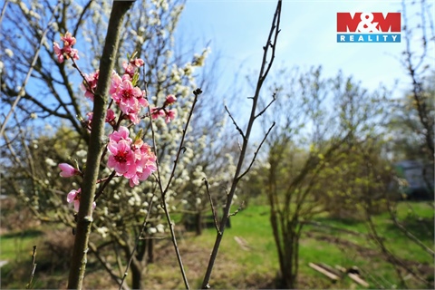 Prodej zahrady, 270 m² 4