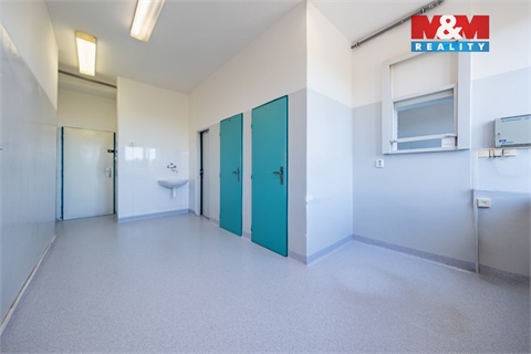 Pronájem obchodních prostor, 193 m² - 2