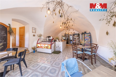 Prodej rodinného domu, 411 m² - 22