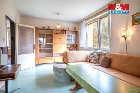 Prodej bytu 3+1, 65 m² 10