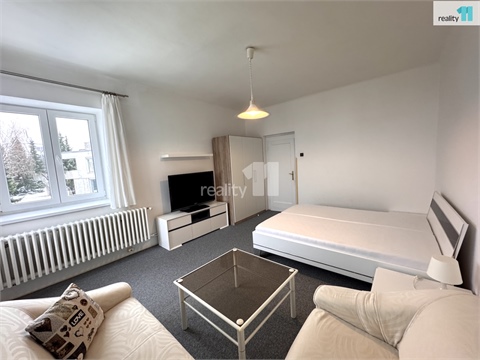 Pronájem bytu 1+1, 49 m² 0