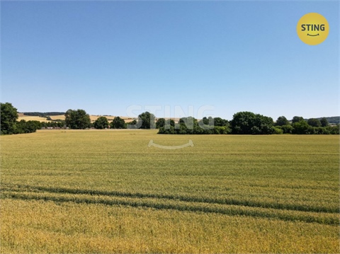 Prodej stavebního pozemku, 5 982 m² 6