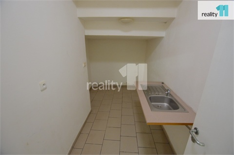 Pronájem obchodních prostor, 297 m² - 8