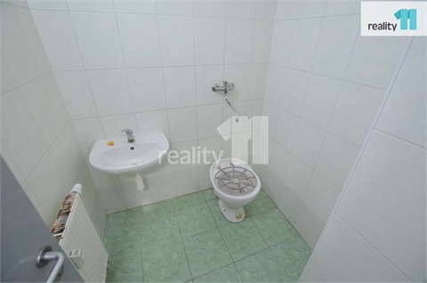 Pronájem obchodních prostor, 297 m² 4