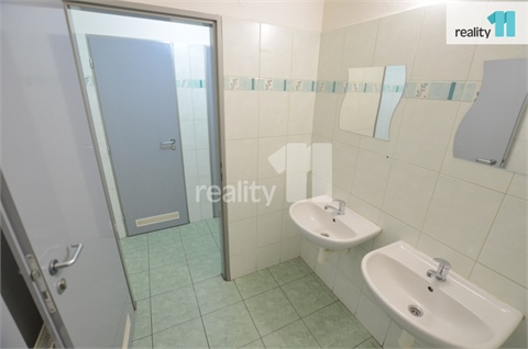 Pronájem obchodních prostor, 297 m² 6