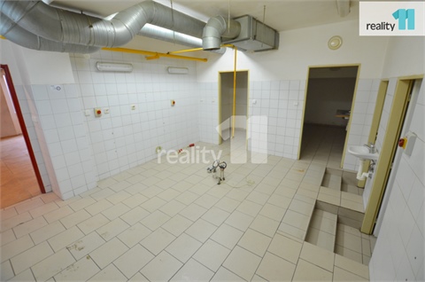 Pronájem obchodních prostor, 297 m² 8