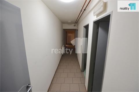 Pronájem obchodních prostor, 297 m² - 2