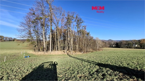 Prodej zemědělské půdy, 6 589 m² 0