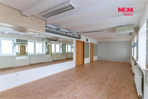 Prodej obchodních prostor, 305 m² - 8