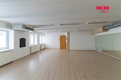 Prodej obchodních prostor, 305 m² 8