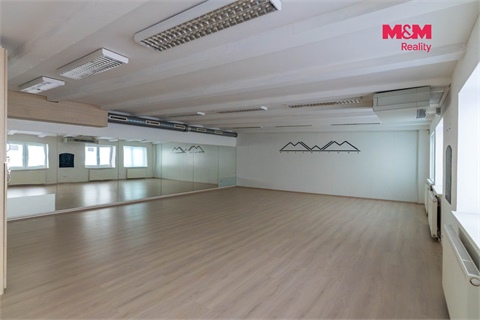 Prodej obchodních prostor, 305 m² - 6
