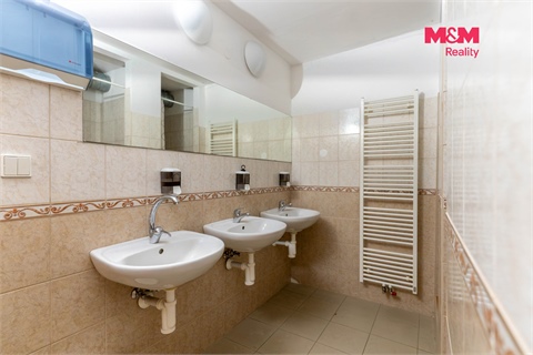 Prodej obchodních prostor, 305 m² - 12