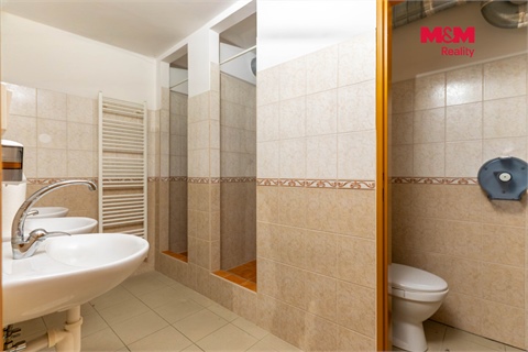 Prodej obchodních prostor, 305 m² 12