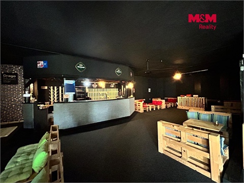 Pronájem obchodních prostor, 582 m² - 6
