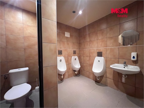 Pronájem obchodních prostor, 210 m² 4