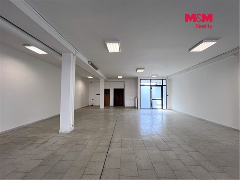 Pronájem obchodních prostor, 210 m² - 12