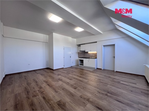 Pronájem obchodních prostor, 42 m² 2