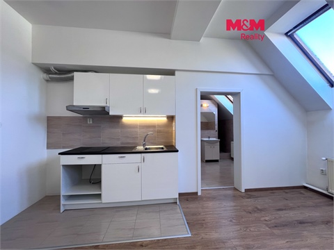 Pronájem obchodních prostor, 42 m² 0