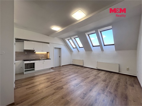 Pronájem obchodních prostor, 42 m² - 6