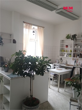 Pronájem obchodních prostor, 270 m² 2