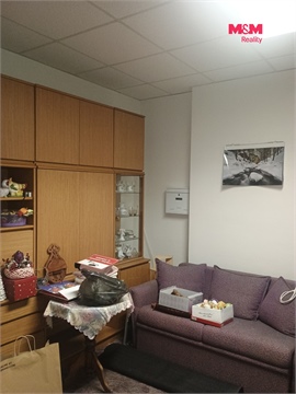 Pronájem obchodních prostor, 270 m² - 4