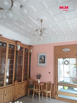Pronájem obchodních prostor, 270 m² - 0