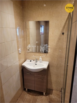 Pronájem bytu 2+1, 51 m² - 4