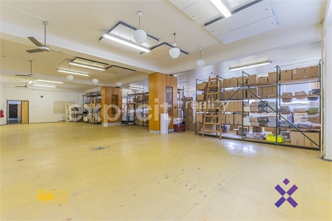 Pronájem skladu / haly, 1 162 m² 2